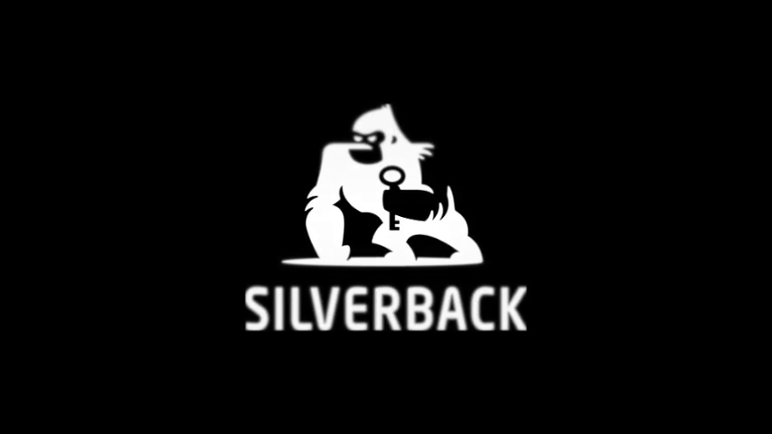 silverback